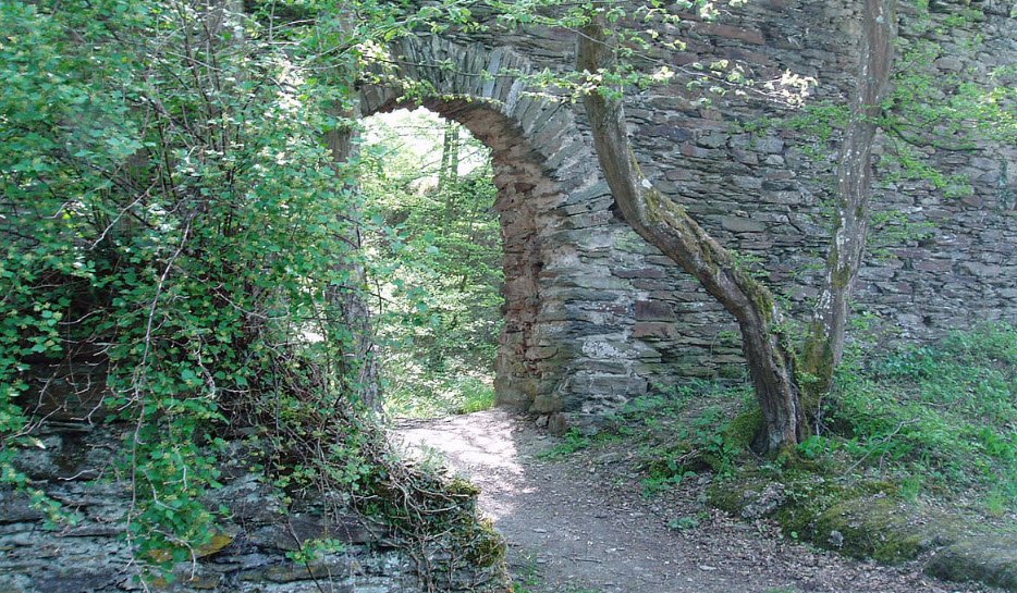 Ruine Burg Rheinberg, Lorch, Hesse, Germany, Germany
